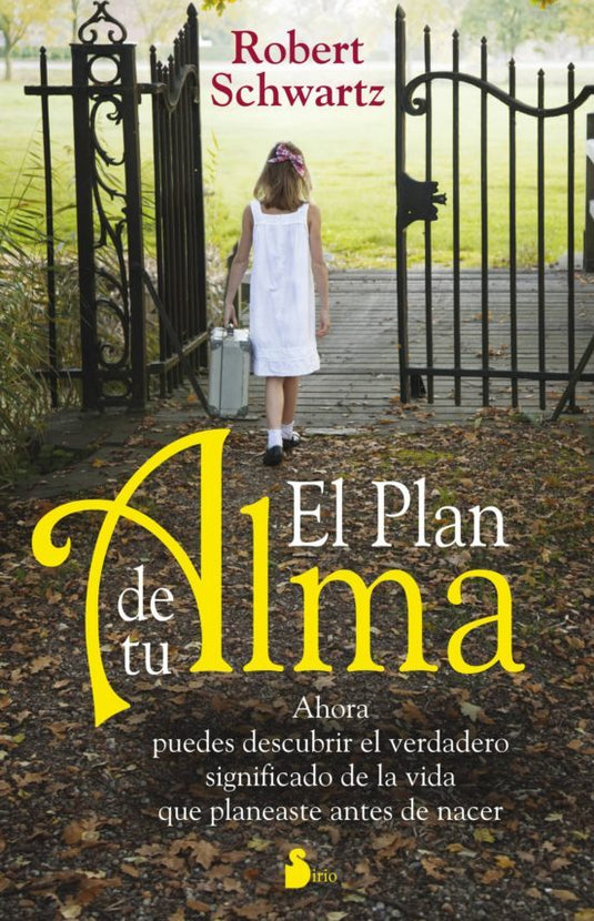 EL PLAN DE TU ALMA - ROBERT SCHWARTZ