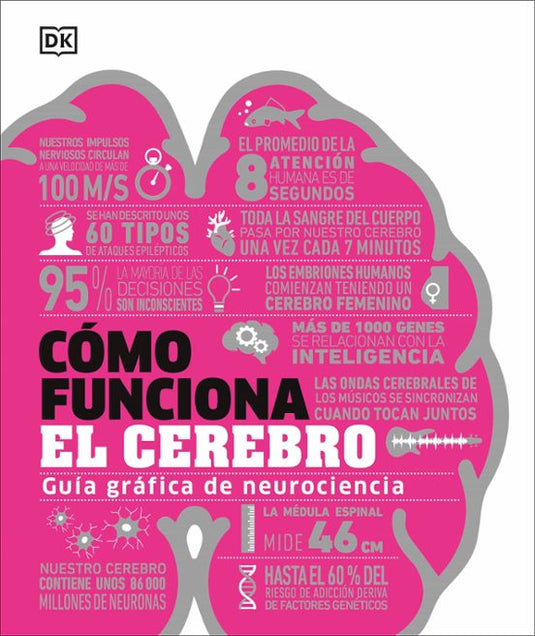 COMO FUNCIONA EL CEREBRO GUIA GRAFICA