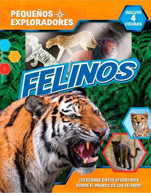 PEQUEÑOS EXPLORADORES-FELINOS