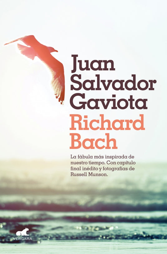 JUAN SALVADOR GAVIOTA - RICHARD BACH