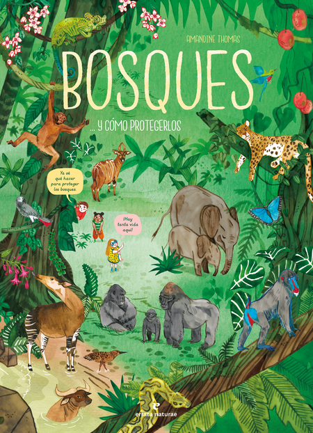 BOSQUES Y COMO PROTEGERLOS - THOMAS, Amandine